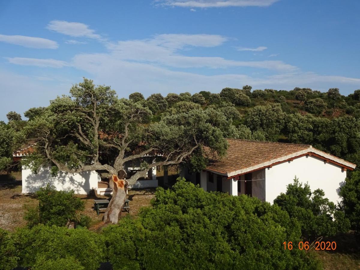 Agriturismo Conca' E Janas Доргали Екстериор снимка