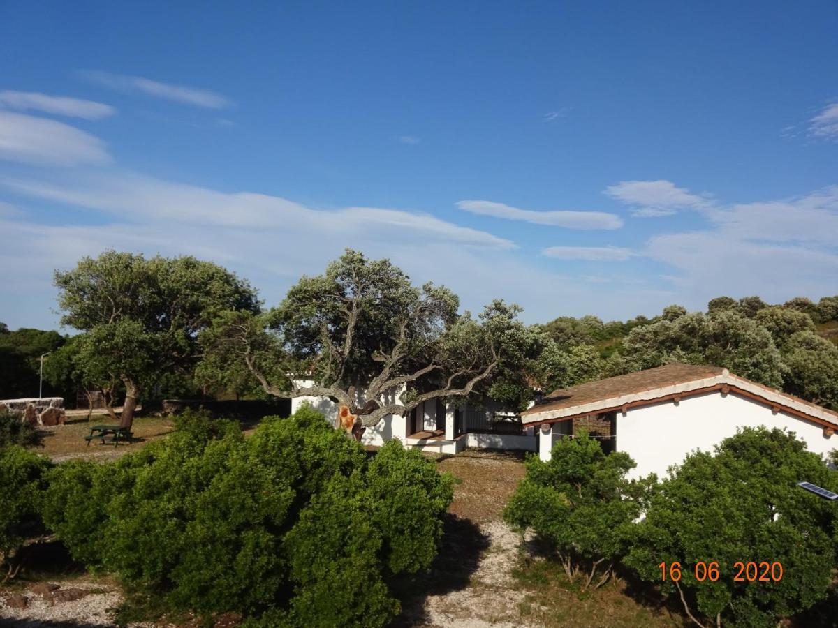 Agriturismo Conca' E Janas Доргали Екстериор снимка