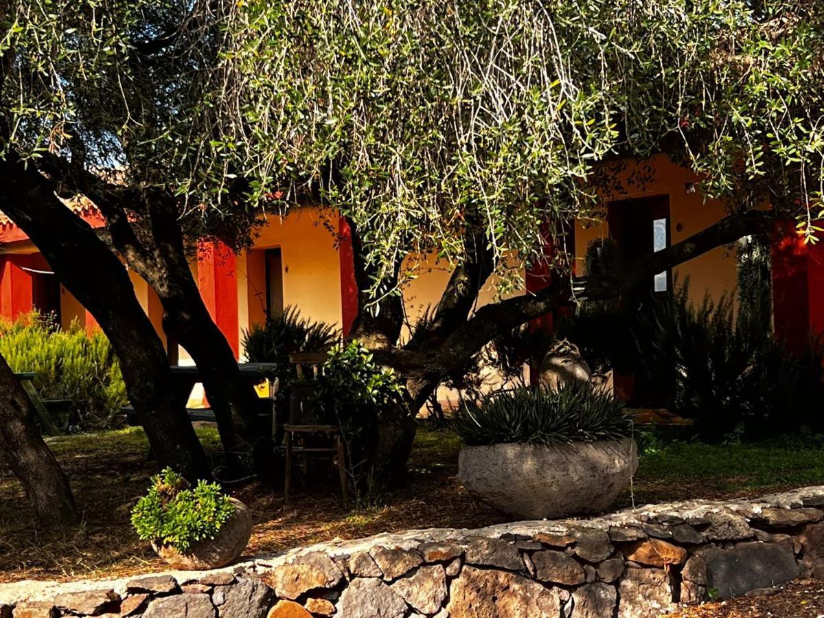 Agriturismo Conca' E Janas Доргали Екстериор снимка