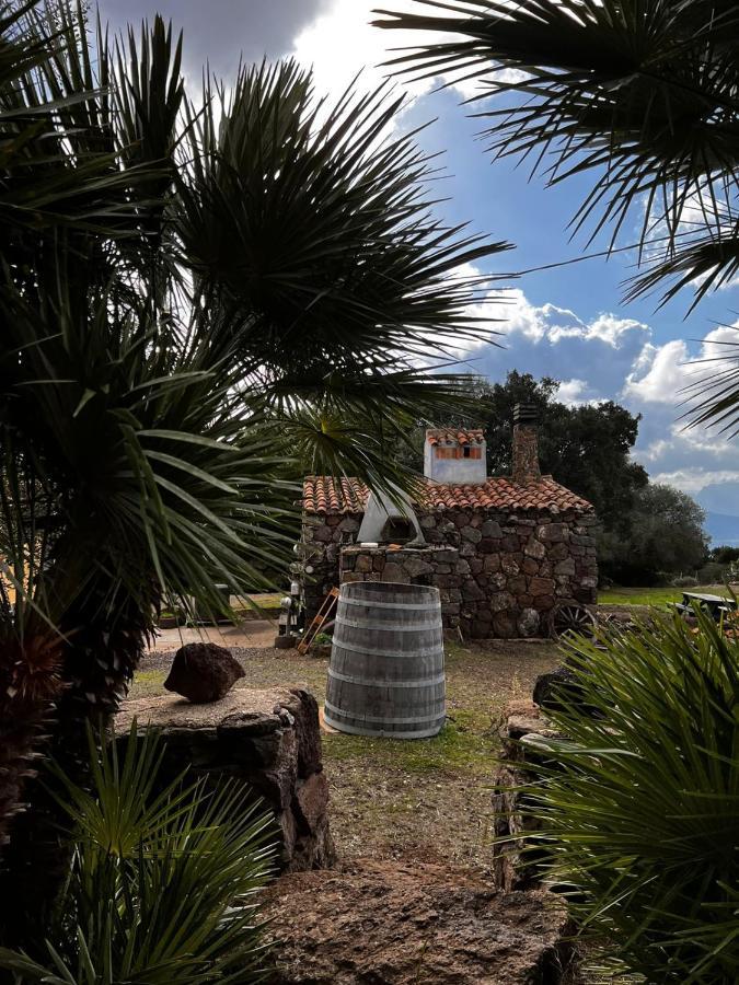 Agriturismo Conca' E Janas Доргали Екстериор снимка