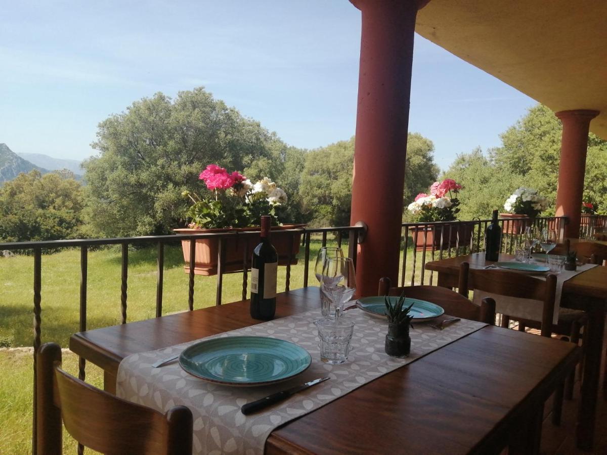 Agriturismo Conca' E Janas Доргали Екстериор снимка