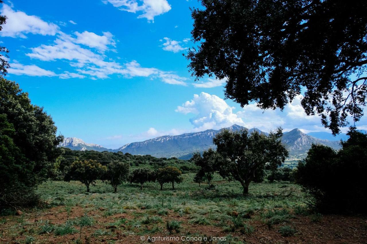 Agriturismo Conca' E Janas Доргали Екстериор снимка